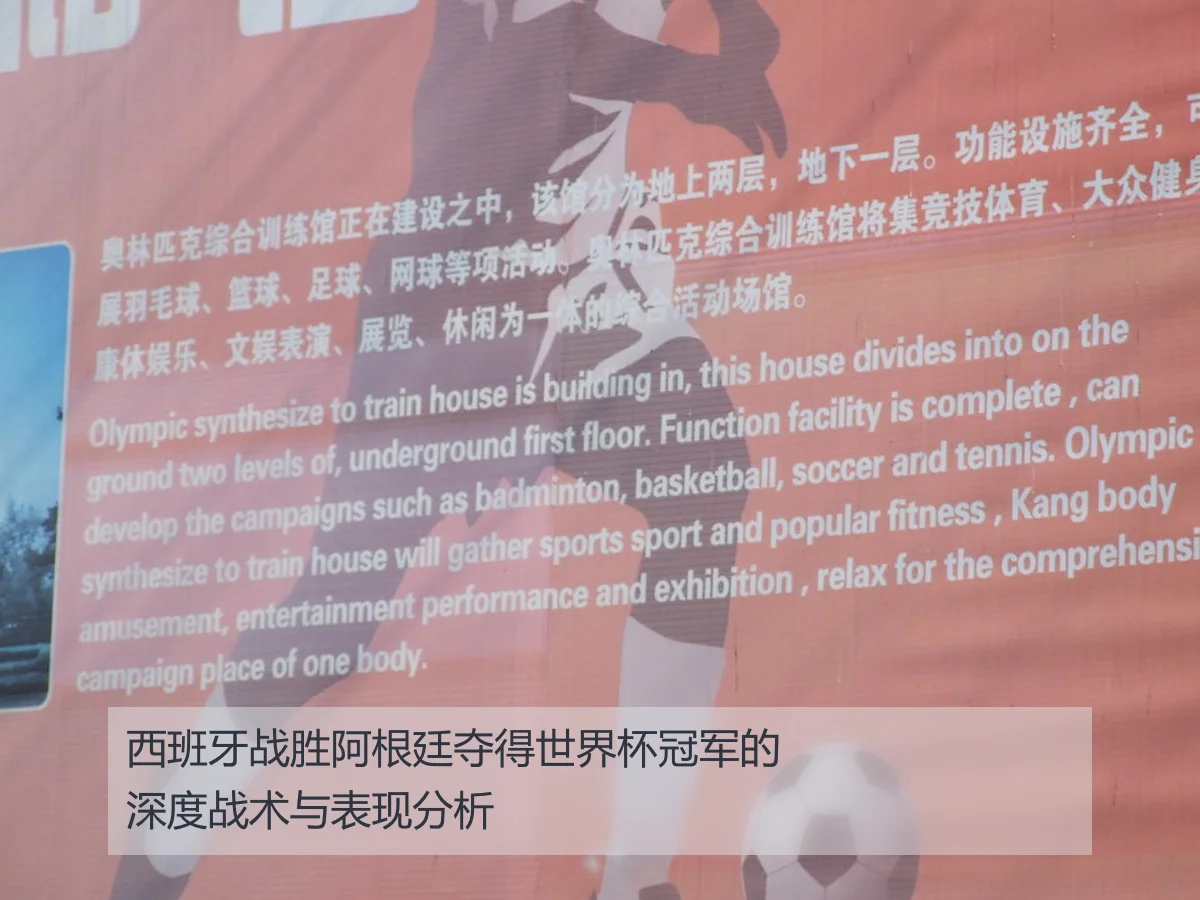 西班牙战胜阿根廷夺得世界杯冠军的深度战术与表现分析